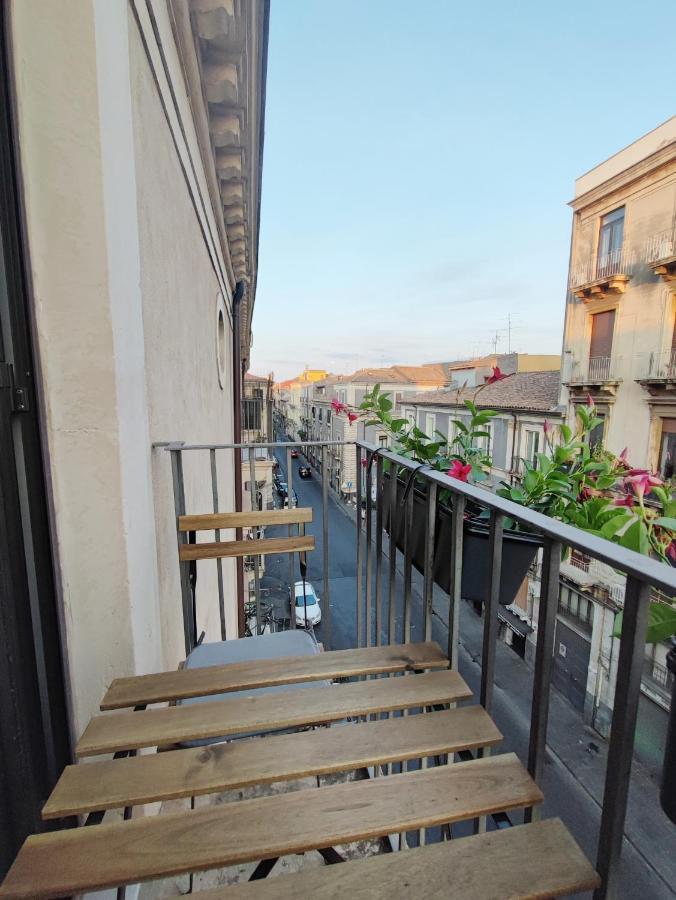 Apartment Domus Coppola *