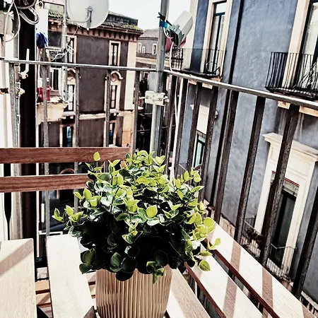 Domus Coppola Catania Apartment Exterior photo
