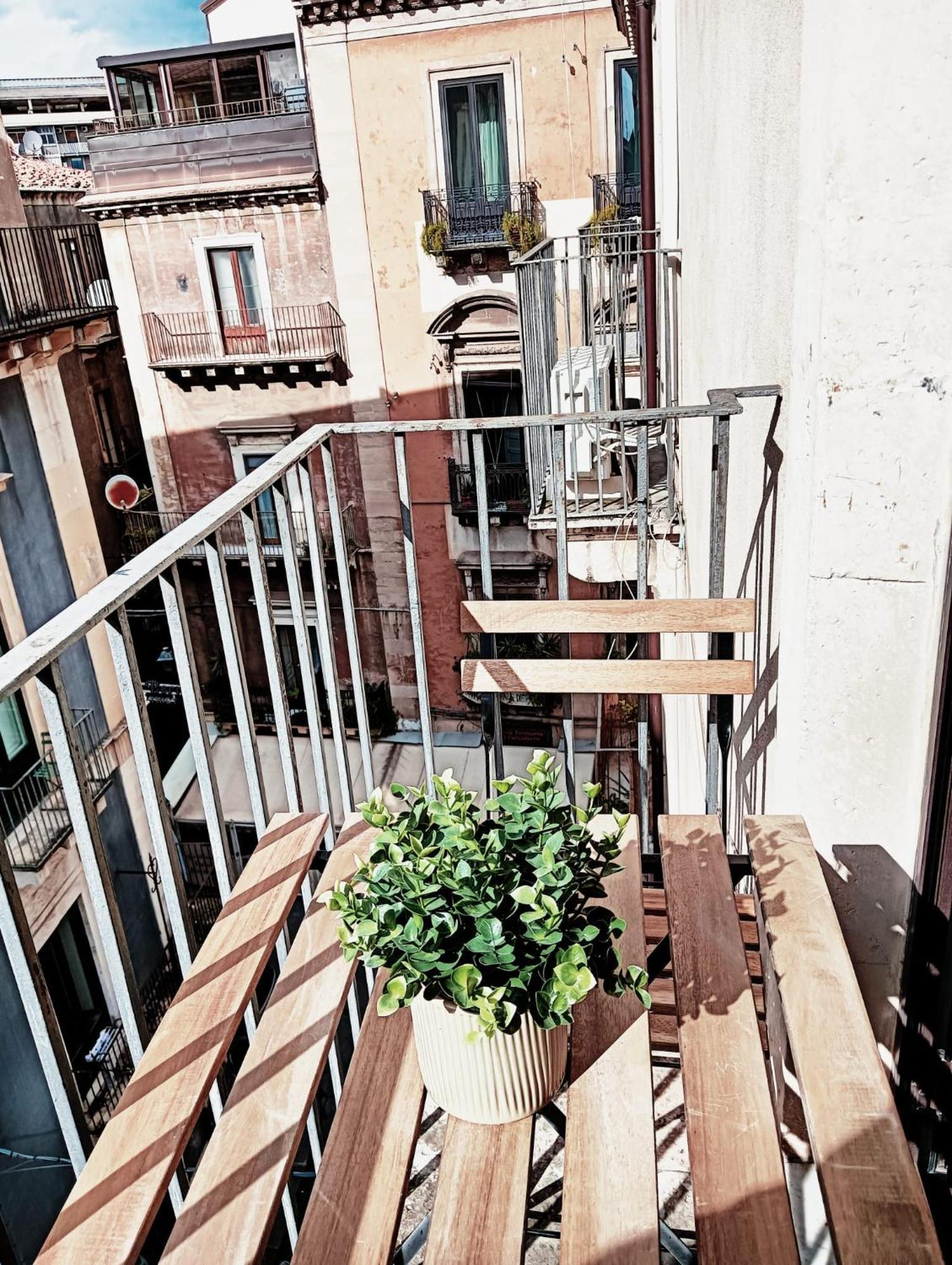 Domus Coppola